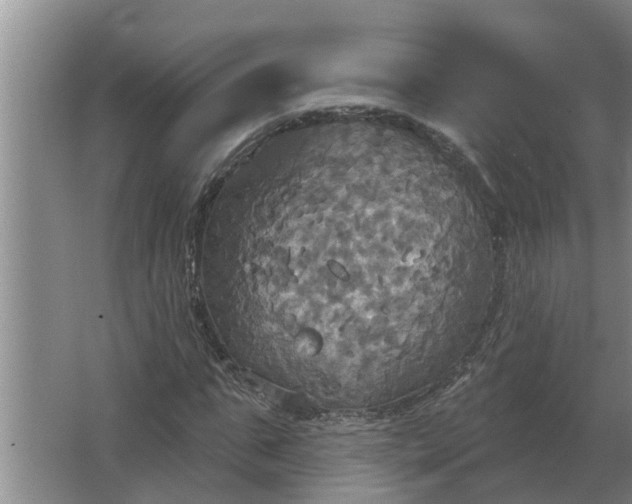 X0000063510871200602032041