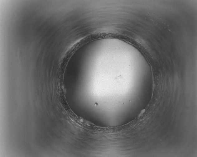 X0000063510872200602032041