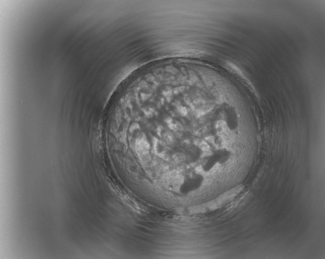 X0000063510875200602032041