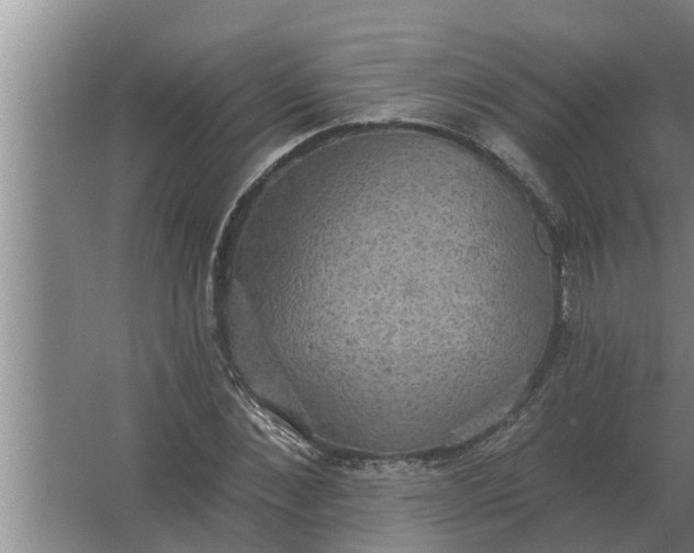 X0000063510876200602032041