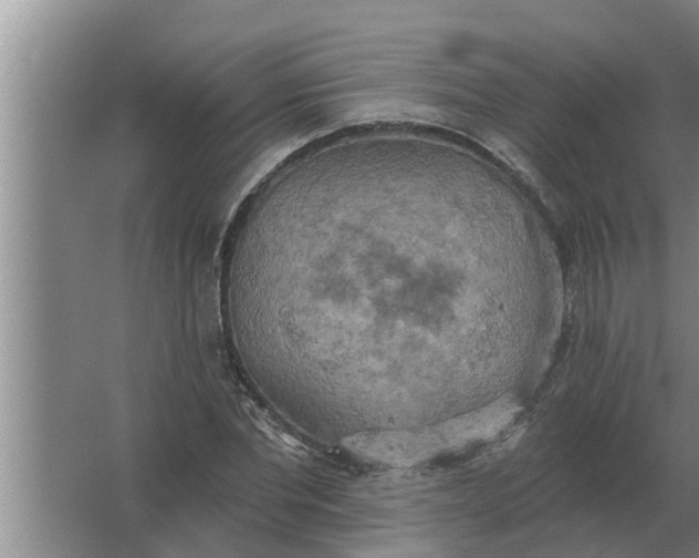 X0000063510877200602032041