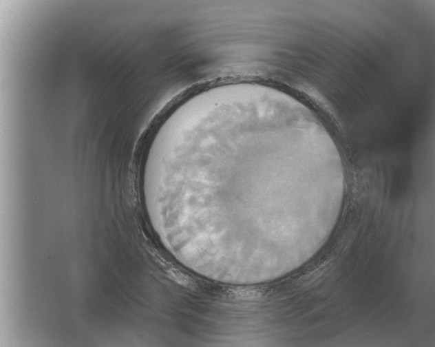 X0000063510878200602032040