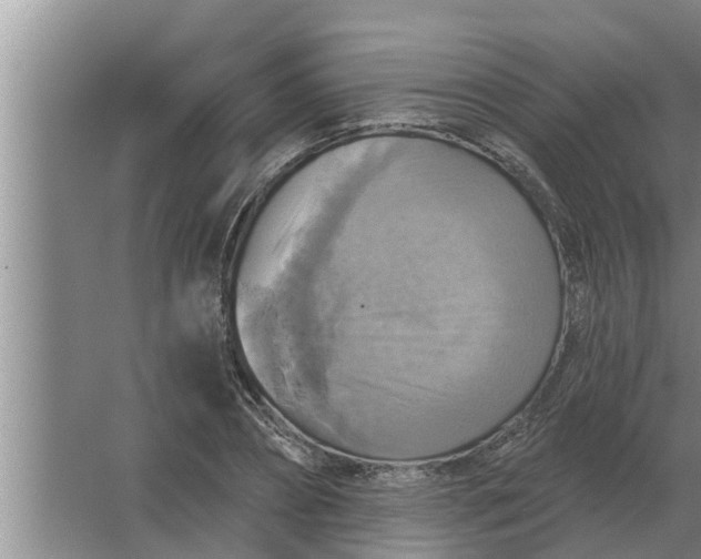 X0000063510882200602032040