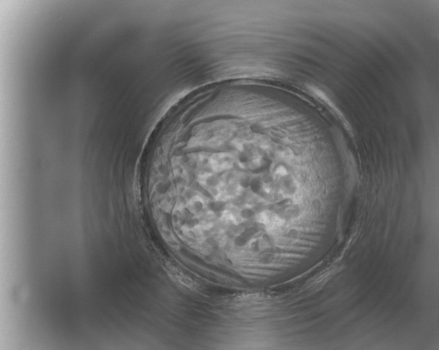 X0000063510883200602032040