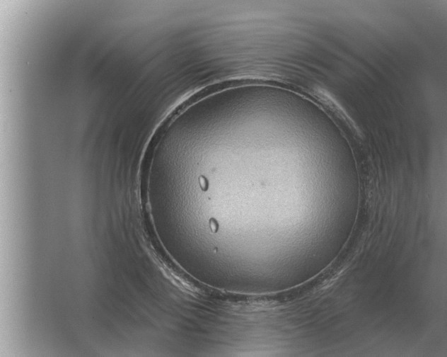 X0000063510884200602032040