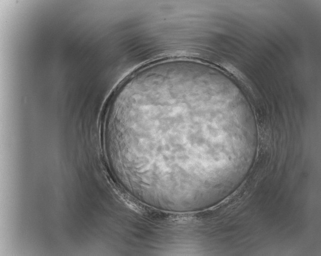 X0000063510886200602032040