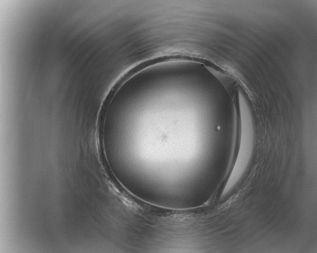 X0000063510888200602032040