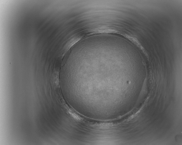 X0000063510889200602032040