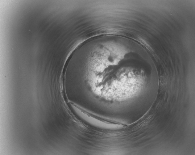 X0000063510891200602032040