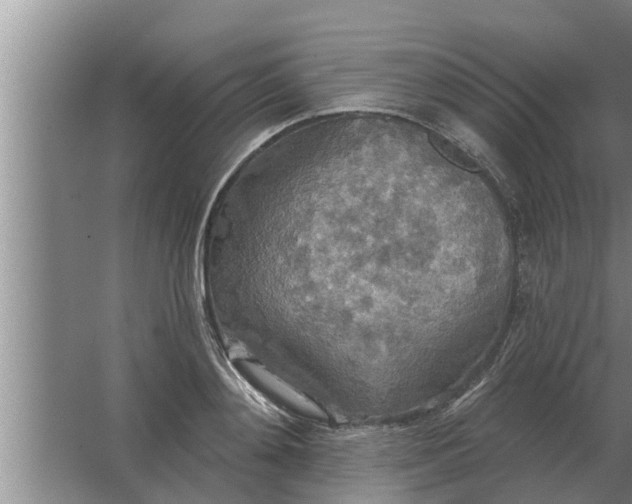 X0000063510892200602032040