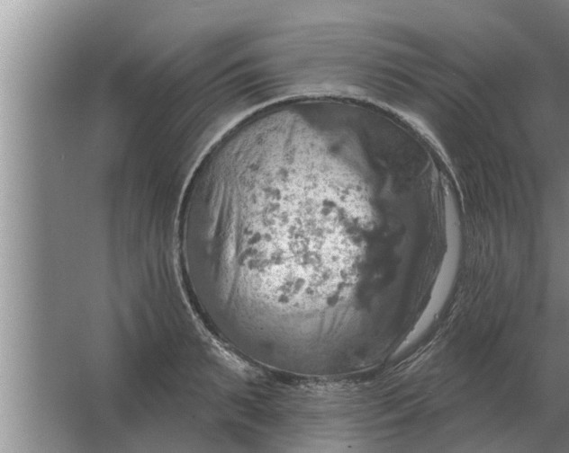 X0000063510895200602032040