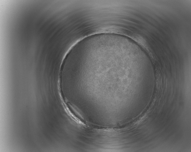 X0000063510896200602032040