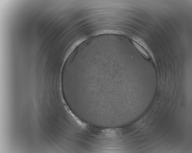 X0000063510898200602032040