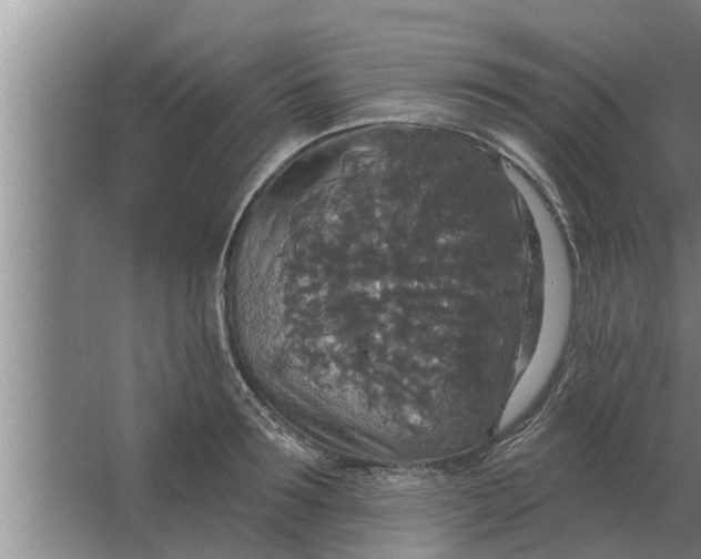 X0000063510899200602032040