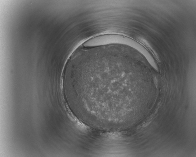 X0000063510900200602032040