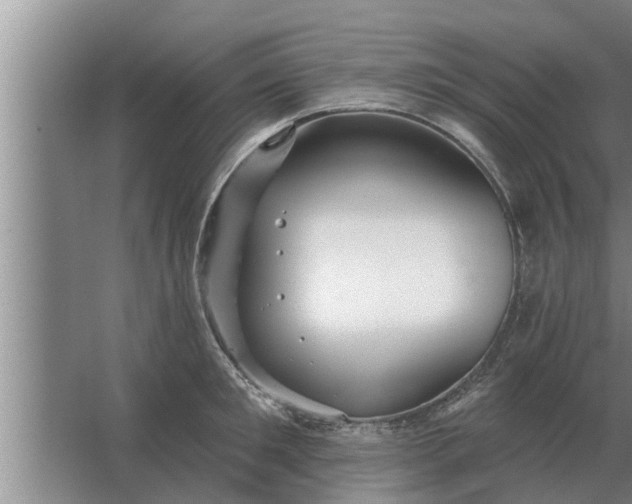 X0000063510901200602032040