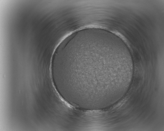 X0000063510902200602032040