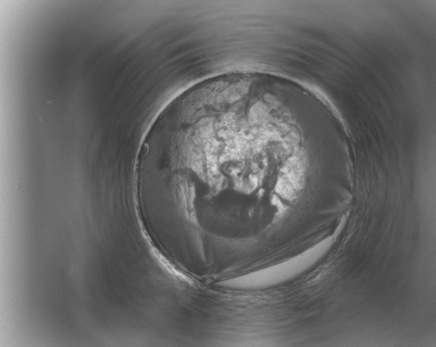 X0000063510903200602032040