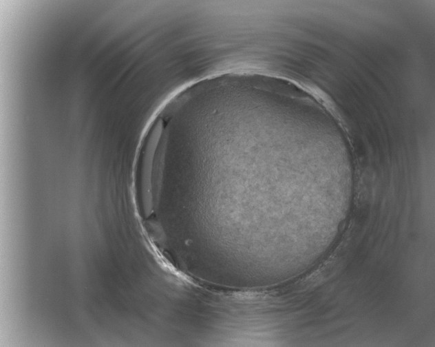 X0000063510904200602032040