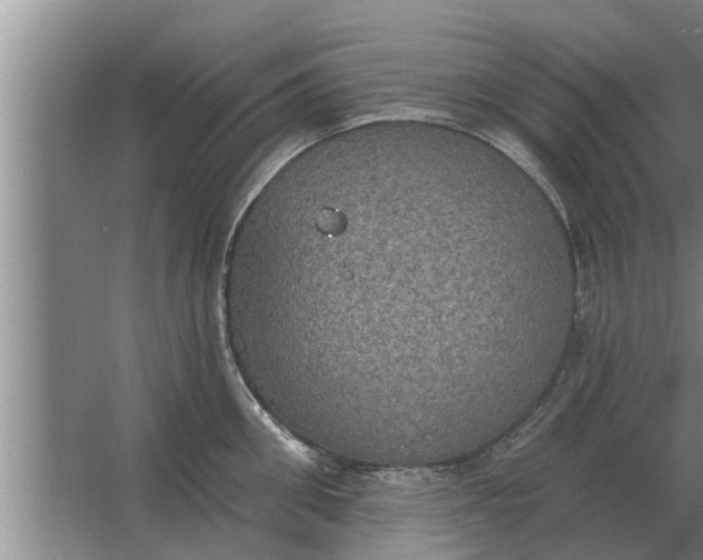 X0000063510906200602032040