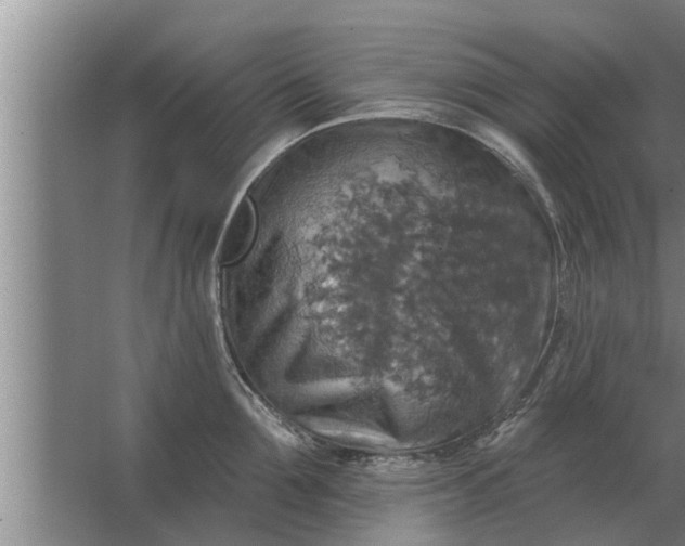 X0000063510907200602032040