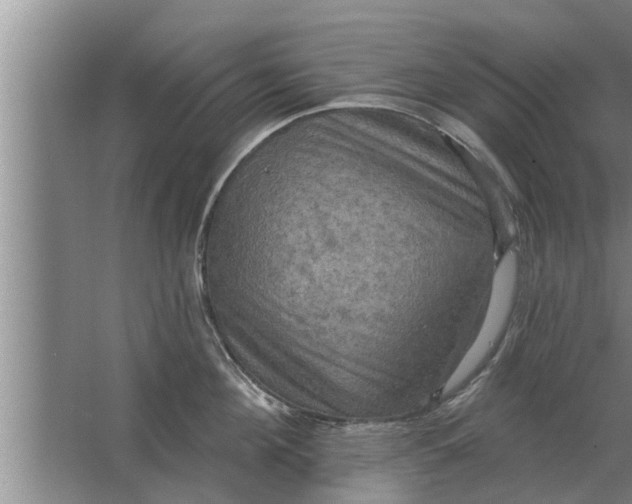 X0000063510908200602032040