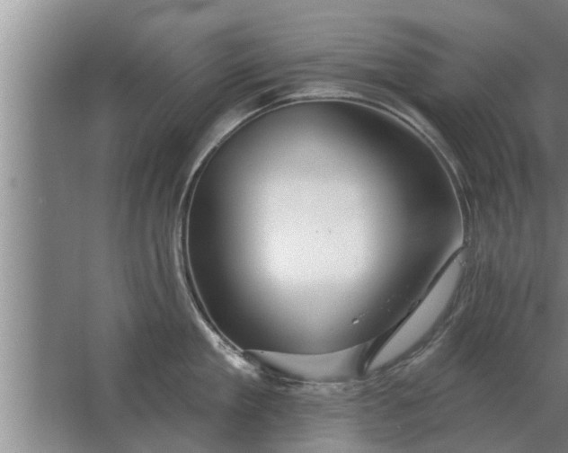 X0000063510909200602032040