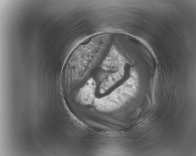 X0000063510911200602032040