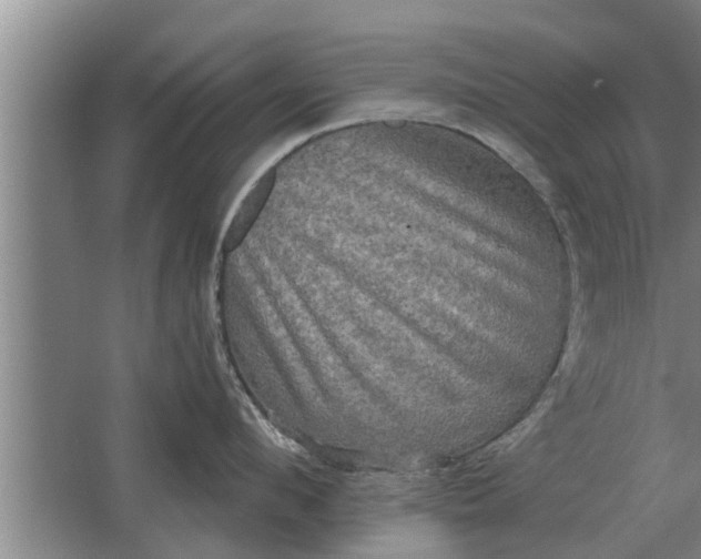 X0000063510912200602032040