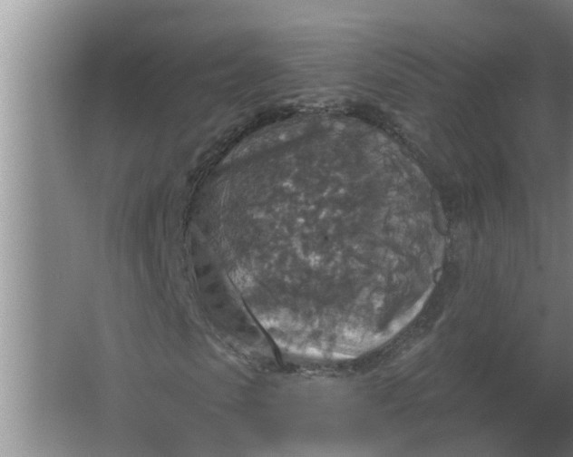 X0000063510913200602032039