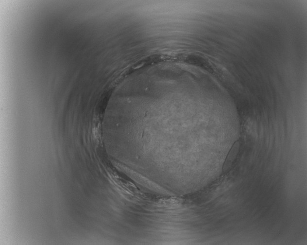 X0000063510914200602032039