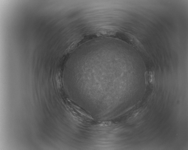 X0000063510915200602032039