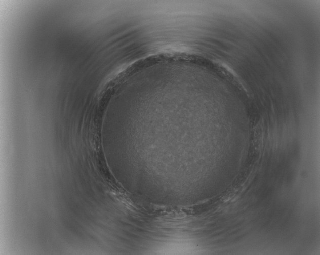 X0000063510919200602032039