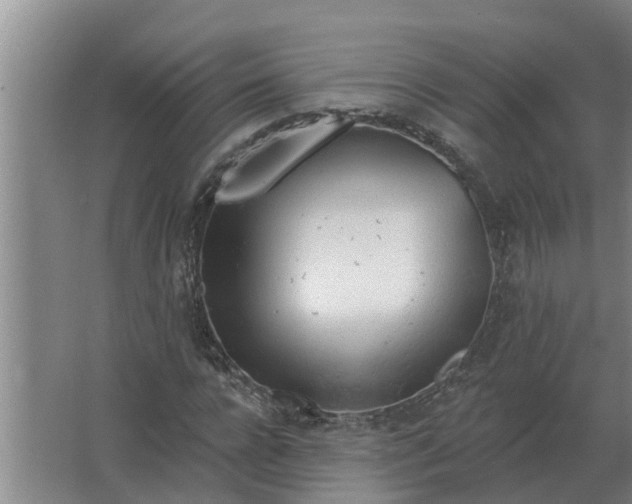 X0000063510920200602032039