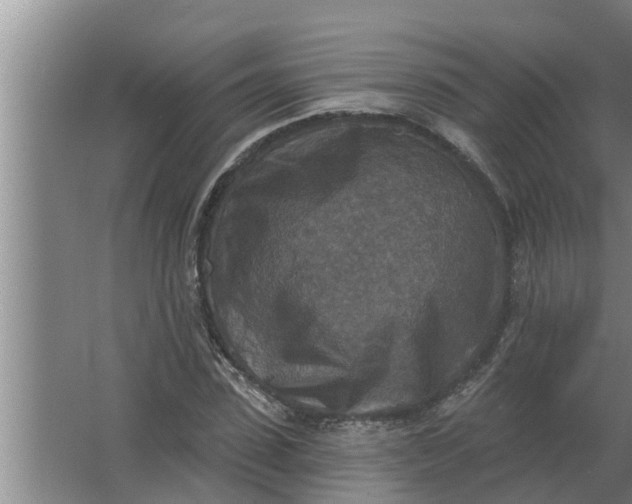 X0000063510923200602032039