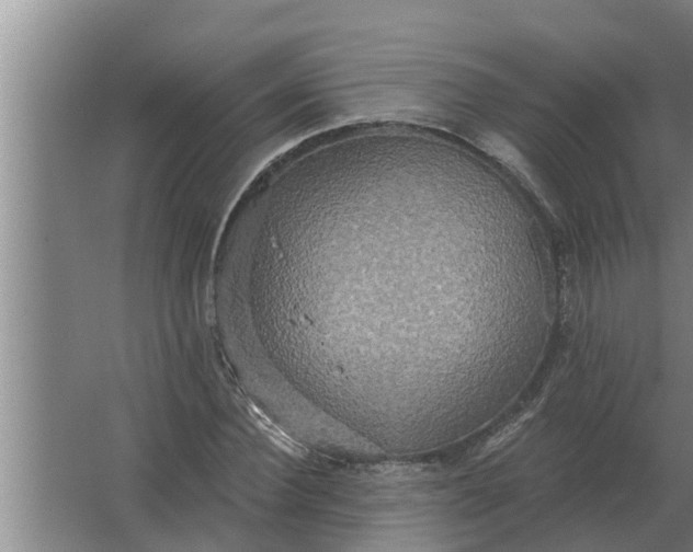 X0000063510924200602032039