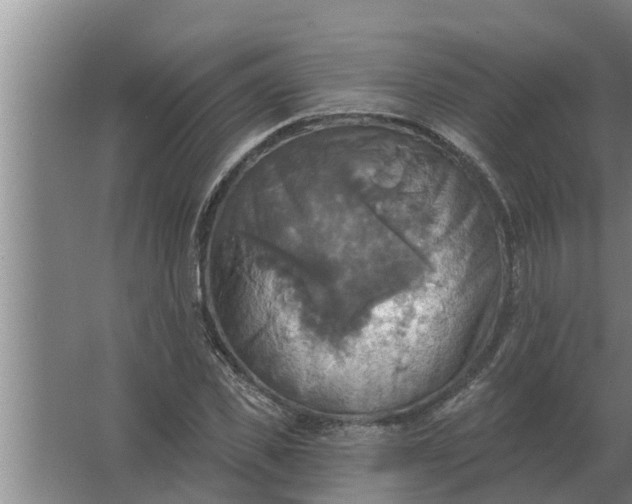 X0000063510925200602032039