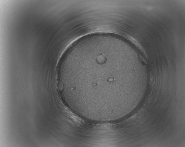 X0000063510926200602032039