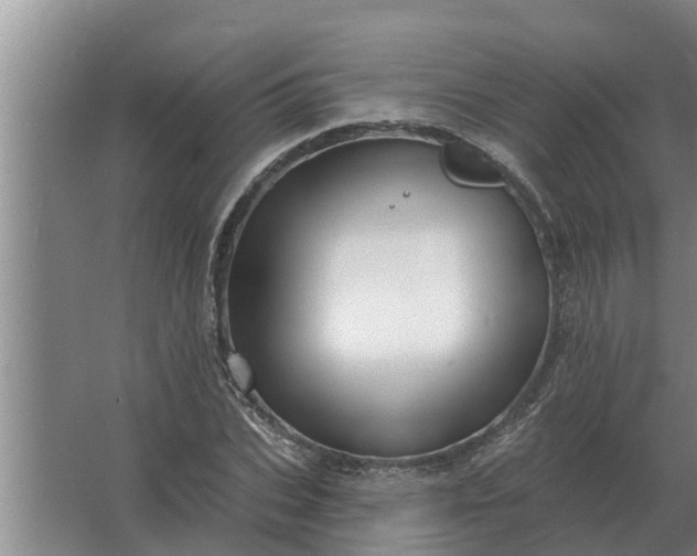 X0000063510927200602032039