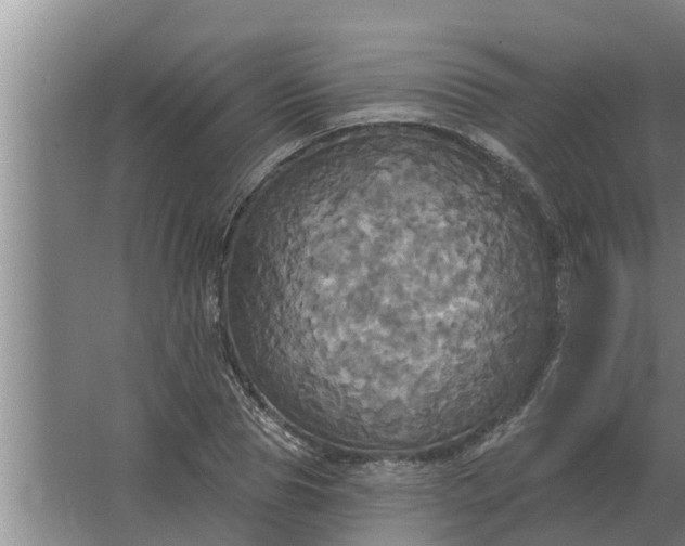 X0000063510929200602032039