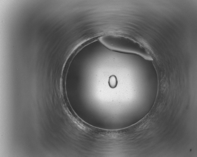 X0000063510932200602032039