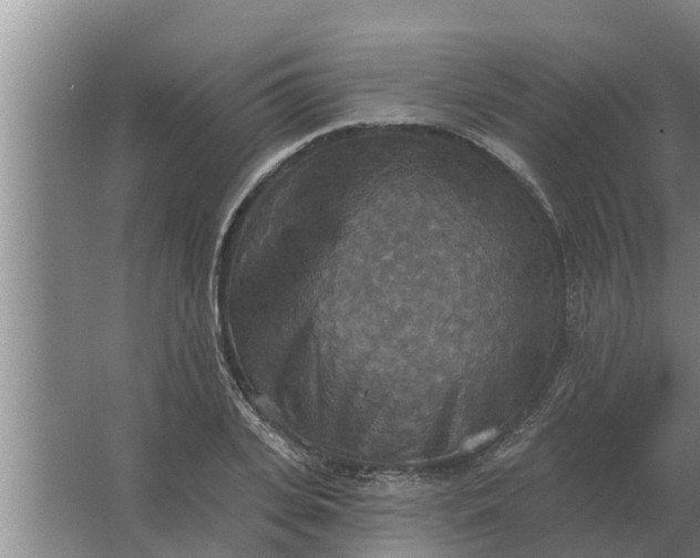 X0000063510935200602032039