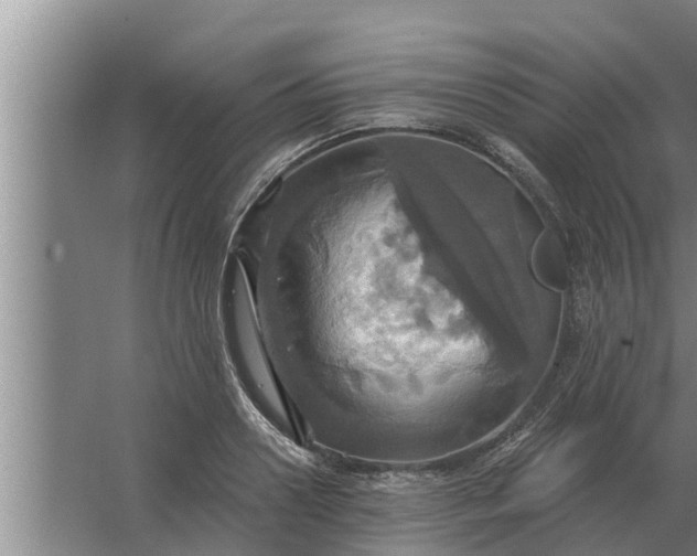 X0000063510938200602032040