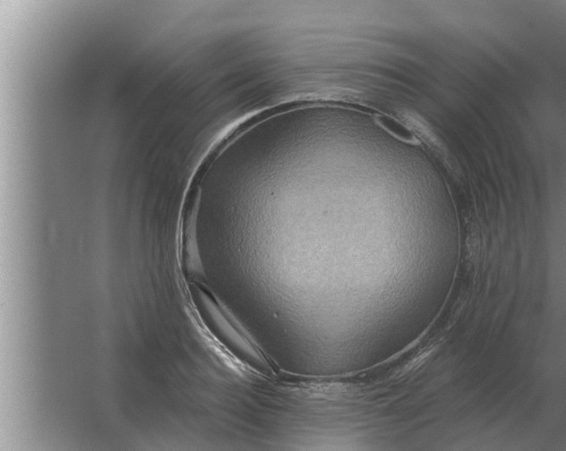 X0000063510940200602032040