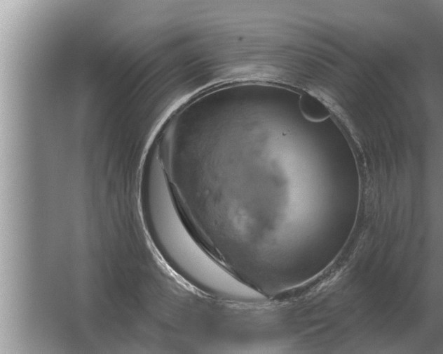 X0000063510941200602032040