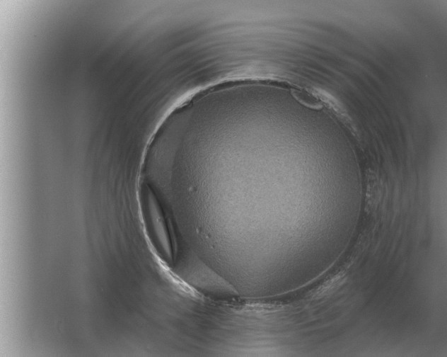 X0000063510942200602032040