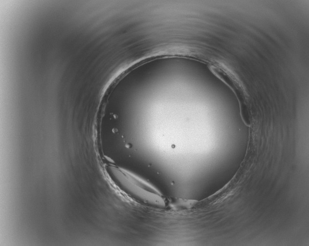 X0000063510944200602032040