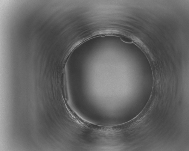 X0000063510945200602032040