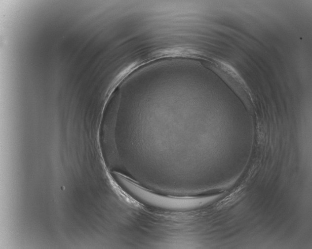 X0000063510946200602032040