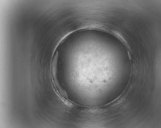 X0000063510948200602032040